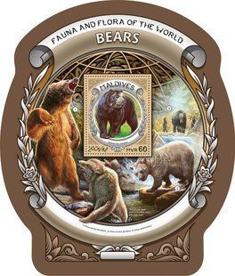 Bears