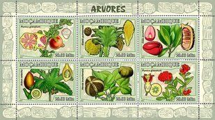 Fruit trees