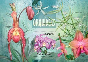 Orchids