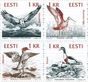 Птахи Балтики