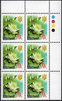 2005 0,70 VI Definitive Issue 5-3863 (m-t 2005) 6 stamp block