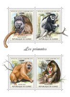 Примати