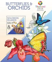 Метелики і орхідеї