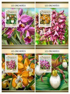 Orchids