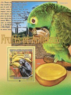 Fruits and animals