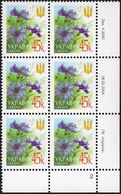 2004 0,45 VI Definitive Issue 4-3090 (m-t 2004) 6 stamp block RB2
