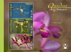 Орхидеи Ориноко