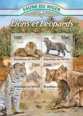 Leopards. Lions