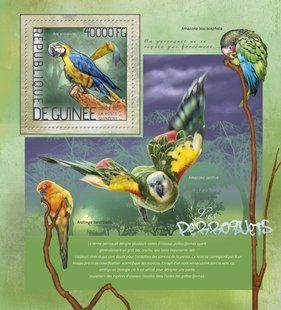 Parrots