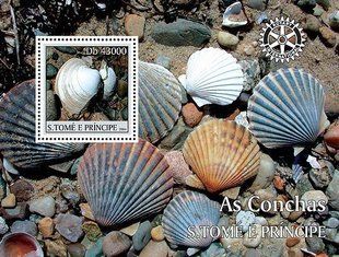 Shells