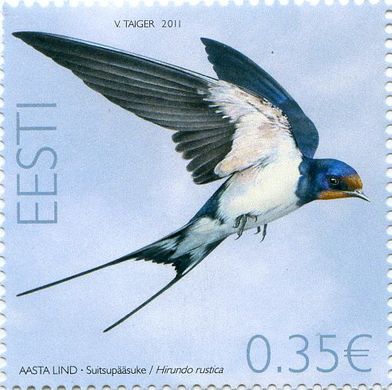 Bird of the Year Swallow
