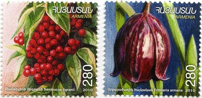 Flora of Armenia