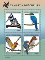 Kingfisher Birds