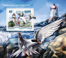 Terns. Lighthouses