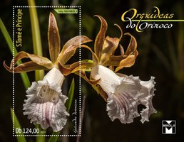 Орхидеи Ориноко