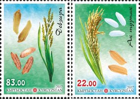 Flora Rice varieties
