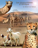 Животный мир пустыни Сахара