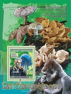 Fungi