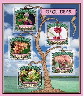 Orchids