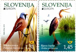EUROPA Birds