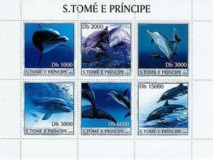 Dolphins