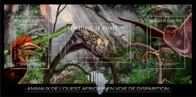 Исчезающие животные Западной Африки