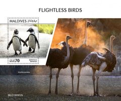 Flightless birds