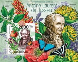 Botanist Antoine Laurent de Jussieu