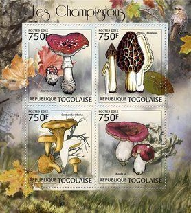 Fungi
