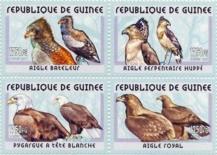 Eagle