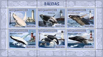 Lighthouses and whales