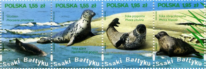 Млекопитающие Балтийского моря