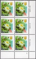 2006 0,70 VI Definitive Issue 5-8229 (m-t 2006) 6 stamp block RB1