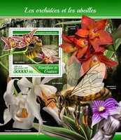 Орхидеи и пчелы