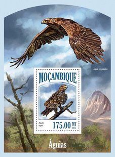 Eagles
