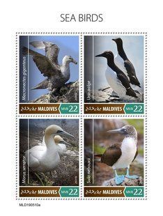 Seabirds