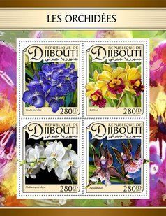Orchids