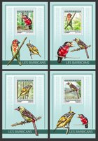 Birds Barbets
