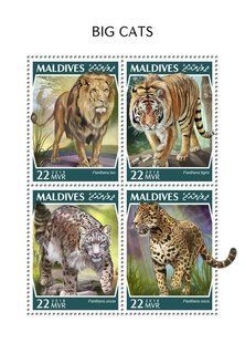 Big cats
