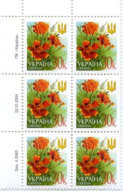 2004 0,30 VI Definitive Issue 4-3063 (m-t 2004) 6 stamp block LT
