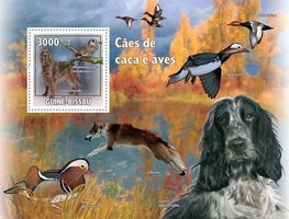 Hunting dogs and birds