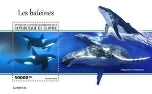 Whales