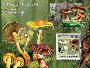 Fungi