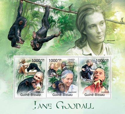 Primatologist Jane Goodall. Monkeys