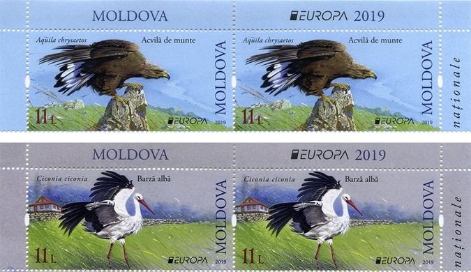 EUROPA Птахи