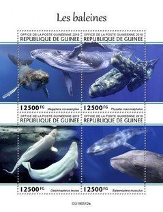 Whales