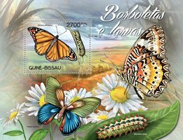 Butterflies and larvae