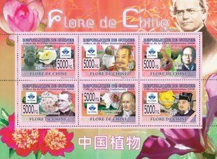 Flora of China
