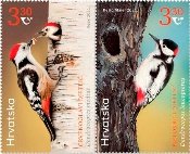 Joint issue Croatia-Kyrgyzstan. Woodpeckers