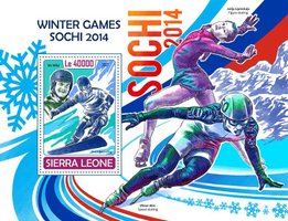Winter Olympics in Sochi